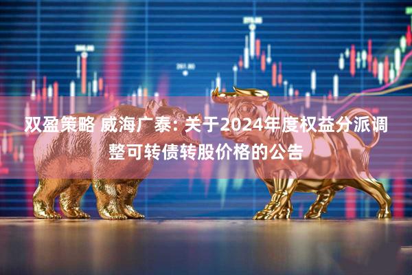 双盈策略 威海广泰: 关于2024年度权益分派调整可转债转股价格的公告