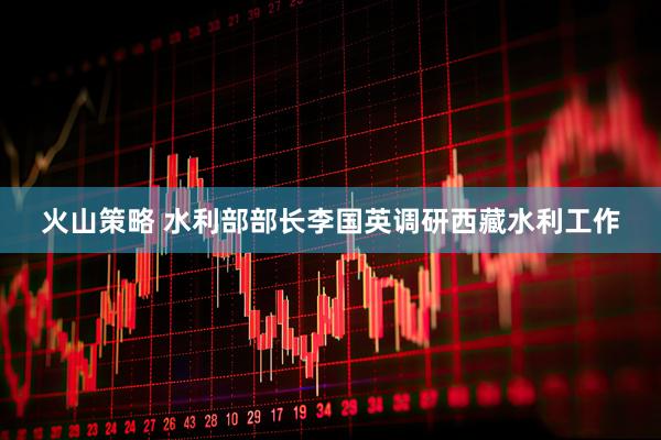 火山策略 水利部部长李国英调研西藏水利工作