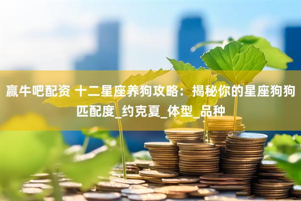 赢牛吧配资 十二星座养狗攻略：揭秘你的星座狗狗匹配度_约克夏_体型_品种