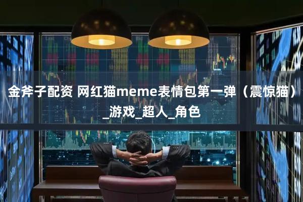 金斧子配资 网红猫meme表情包第一弹（震惊猫）_游戏_超人_角色